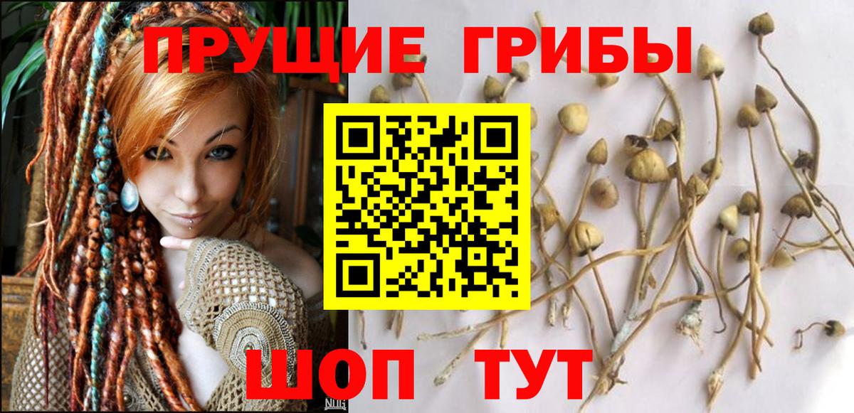 ГАШИШ Тавда