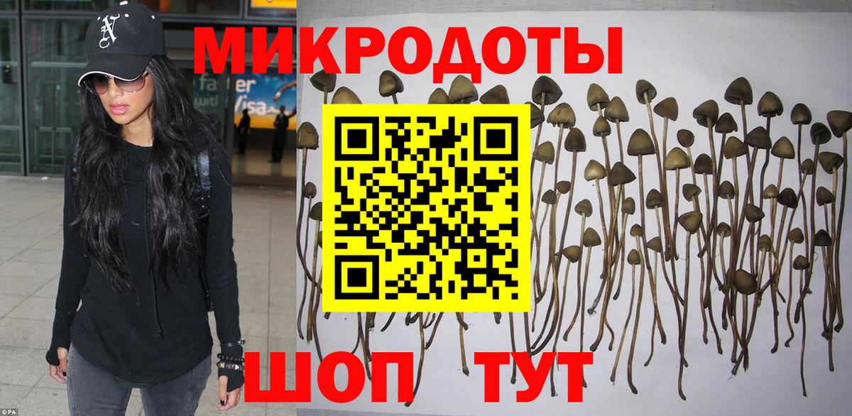 Псилоцибиновые грибы мухоморы  Вход с VPN  Тавда 