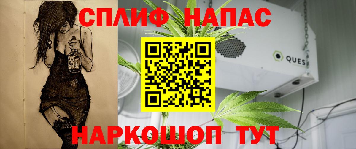 Каннабис сатива Тавда